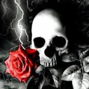 Meet your Posher, Clayton